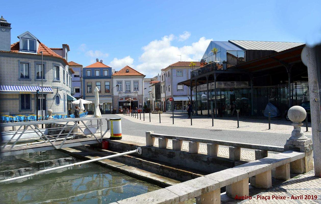 1454 - Aveiro.jpg
